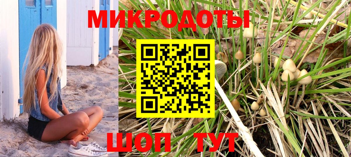 Псилоцибиновые грибы Psilocybine cubensis Артёмовский